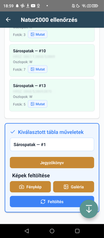 Inspection Protocol List